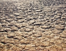 CAMBIAMENTO CLIMATICO E CIBO: UNIAMOCI AL PELLEGRINAGGIO VERSO LA CONFERENZA DI PARIGI DI DICEMBRE