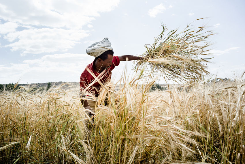 19 maggio: Caritas Day ad EXPO 2015